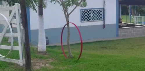 Espaço Campestre com área verde, cercas brancas e árvores